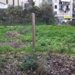 JARDIN POTAGER - Echange, désherbage, binage, arrosage...