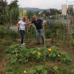 Potager - Organisation d'Automne
