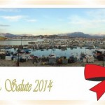 PACE E SALUTE 2014 - AIUTU CORSU